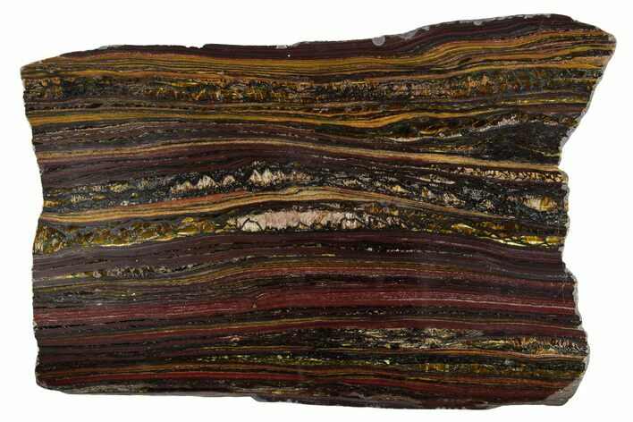 Polished Tiger Iron Stromatolite Slab - Billion Years #351879